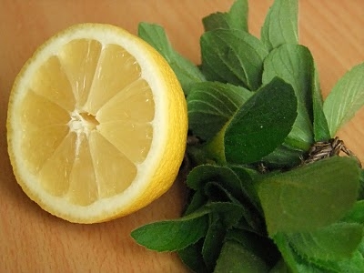 Dulceata de menta si lamaie