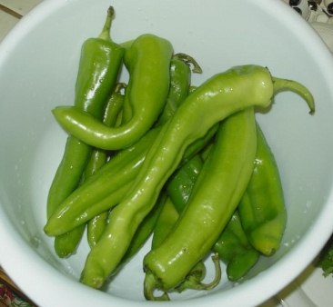 Capsicum verde