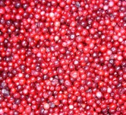 Lingonberries - recoltate în suc propriu într-un butoi