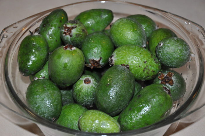 Gemul Feijoa fără gătit