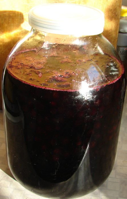 Dulceata de aronia