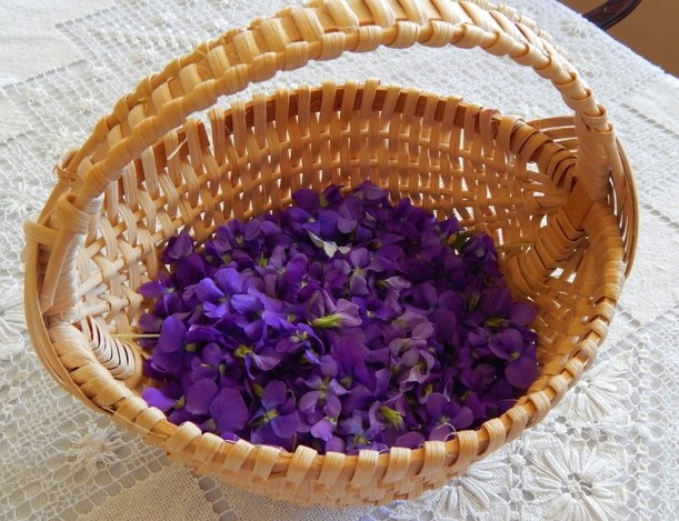 sirop de violete