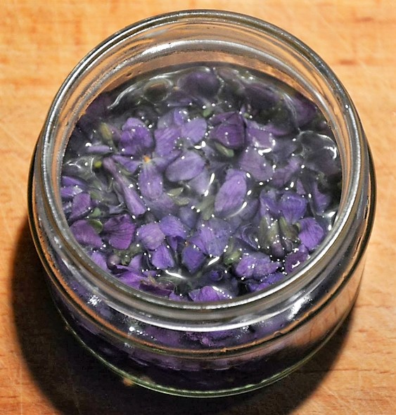 sirop de violete