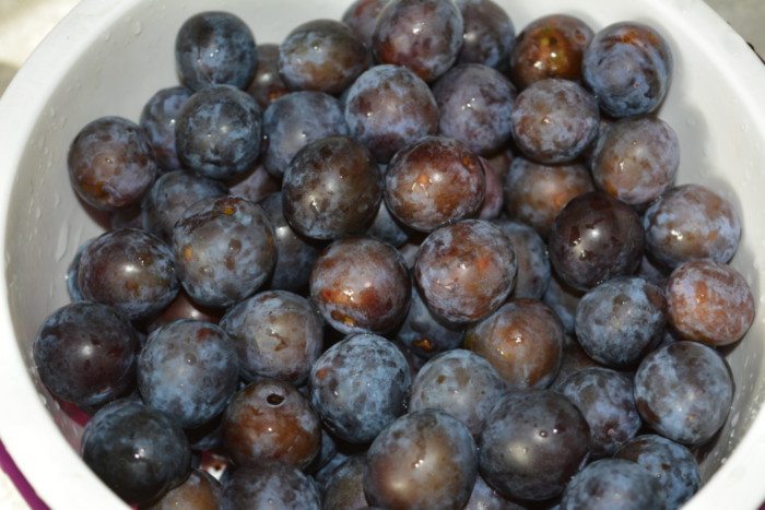 Dulceata de sloe