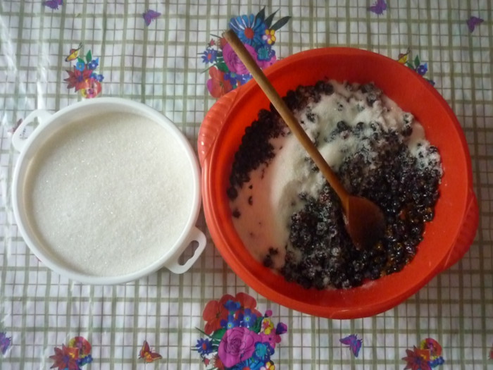 Dulceata de coacaze negre fara gatit