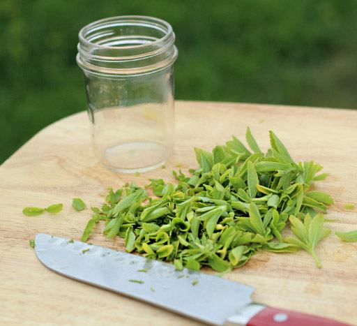 Sirop și extract de Stevia