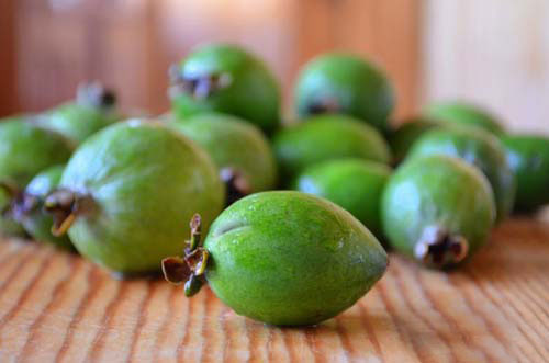 compot de feijoa